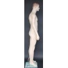 5 ft 10 in Male Mannequin Small Size with Face make up -SFM72-FT