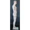 6 ft 1 in Face Makeup Skin tone colored Male Mannequin SFM51-FT