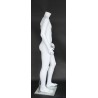 5 ft 3in Headless Male Mannequin Small Size Matte White CBH19-WT